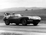 Jaguar D-Type 1954 года